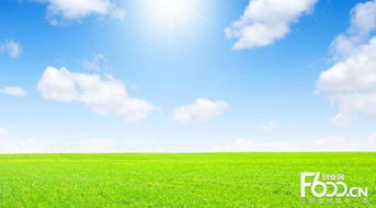 睿容空氣凈化器加盟指南 加盟費、官網、條件流程及政策支持解析